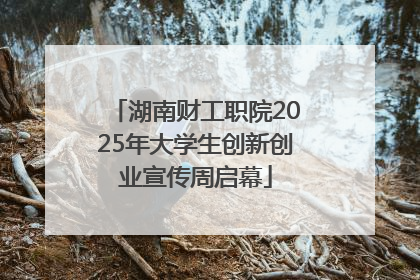 湖南财工职院2025年大学生创新创业宣传周启幕