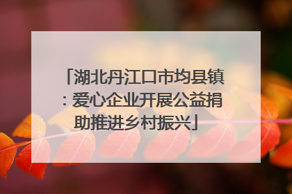 湖北丹江口市均县镇：爱心企业开展公益捐助推进乡村振兴