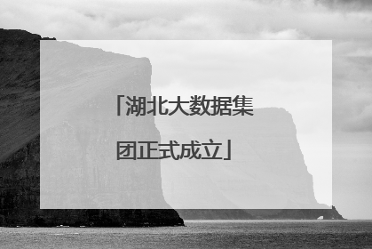 湖北大数据集团正式成立
