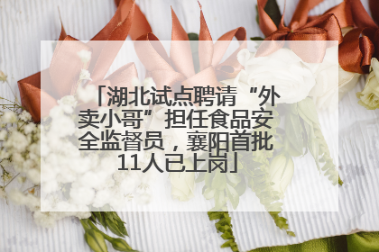 湖北试点聘请“外卖小哥”担任食品安全监督员，襄阳首批11人已上岗