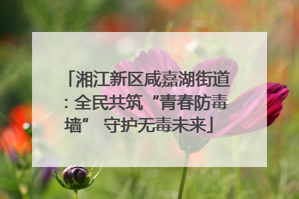 湘江新区咸嘉湖街道：全民共筑“青春防毒墙” 守护无毒未来