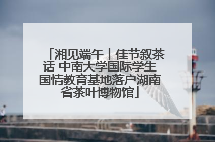湘见端午丨佳节叙茶话 中南大学国际学生国情教育基地落户湖南省茶叶博物馆