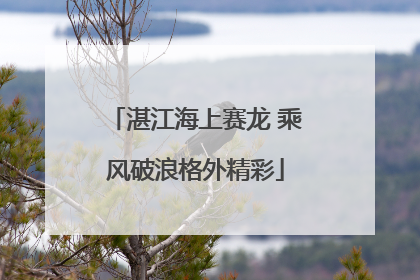 湛江海上赛龙 乘风破浪格外精彩