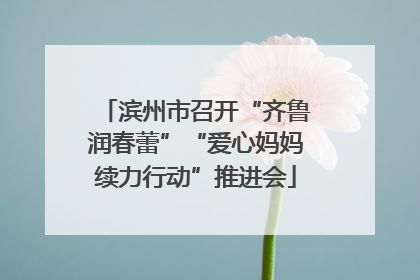 滨州市召开“齐鲁润春蕾”“爱心妈妈续力行动”推进会