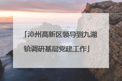 漳州高新区领导到九湖镇调研基层党建工作