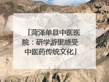 菏泽单县中医医院：研学游里感受中医药传统文化