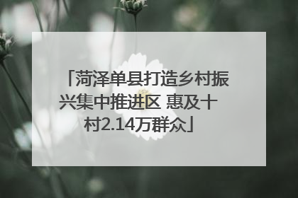 菏泽单县打造乡村振兴集中推进区 惠及十村2.14万群众