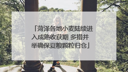 菏泽各地小麦陆续进入成熟收获期 多措并举确保夏粮颗粒归仓