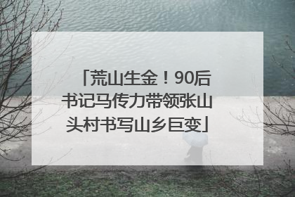 荒山生金！90后书记马传力带领张山头村书写山乡巨变