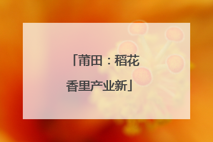 莆田：稻花香里产业新