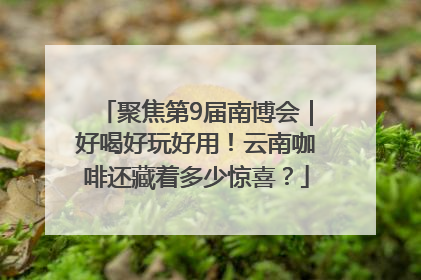 聚焦第9届南博会｜好喝好玩好用！云南咖啡还藏着多少惊喜？