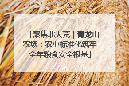 聚焦北大荒｜青龙山农场：农业标准化筑牢全年粮食安全根基