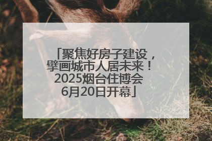 聚焦好房子建设，擘画城市人居未来！2025烟台住博会6月20日开幕