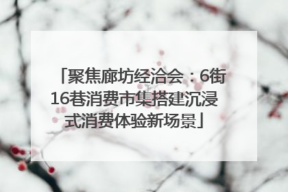聚焦廊坊经洽会：6街16巷消费市集搭建沉浸式消费体验新场景