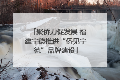 聚侨力促发展 福建宁德推进“侨见宁德”品牌建设