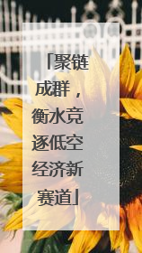 聚链成群，衡水竞逐低空经济新赛道