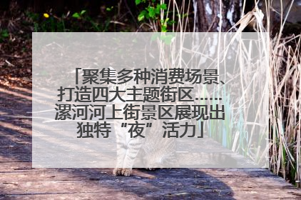 聚集多种消费场景、打造四大主题街区……漯河河上街景区展现出独特“夜”活力