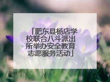 肥东县杨店学校联合八斗派出所举办安全教育志愿服务活动