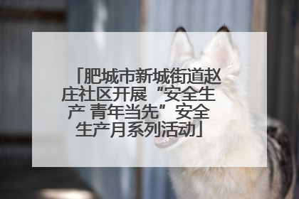肥城市新城街道赵庄社区开展“安全生产 青年当先”安全生产月系列活动