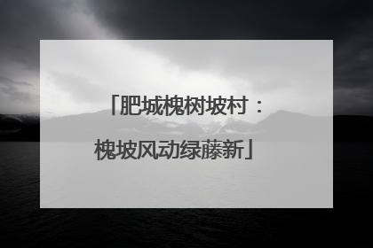 肥城槐树坡村：槐坡风动绿藤新