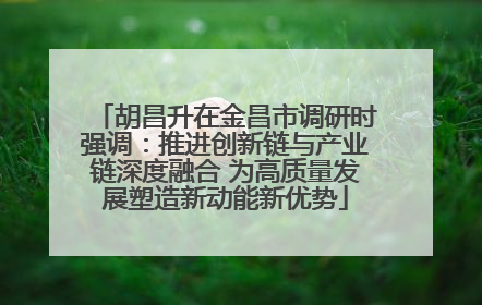 胡昌升在金昌市调研时强调：推进创新链与产业链深度融合 为高质量发展塑造新动能新优势