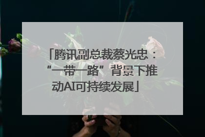 腾讯副总裁蔡光忠：“一带一路”背景下推动AI可持续发展