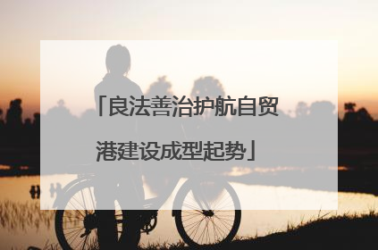 良法善治护航自贸港建设成型起势