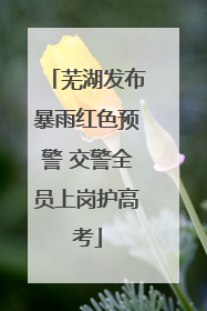 芜湖发布暴雨红色预警 交警全员上岗护高考