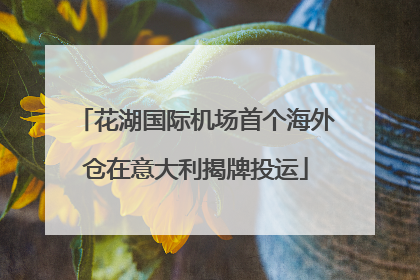 花湖国际机场首个海外仓在意大利揭牌投运
