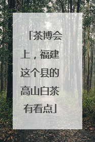 茶博会上，福建这个县的高山白茶有看点