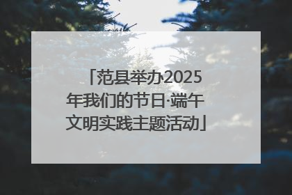 范县举办2025年我们的节日·端午文明实践主题活动