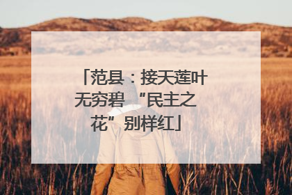 范县：接天莲叶无穷碧 “民主之花”别样红