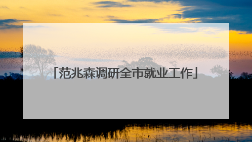 范兆森调研全市就业工作