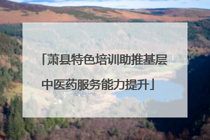 萧县特色培训助推基层中医药服务能力提升