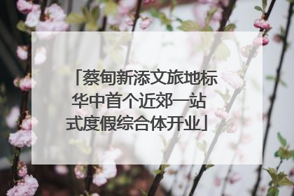 蔡甸新添文旅地标 华中首个近郊一站式度假综合体开业