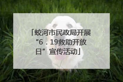 蛟河市民政局开展“6．19救助开放日”宣传活动