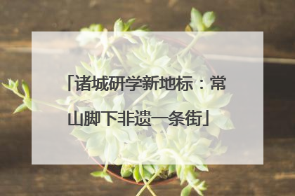 诸城研学新地标：常山脚下非遗一条街