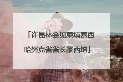 许昆林会见柬埔寨西哈努克省省长蒙西纳