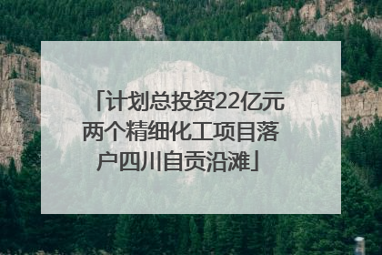 计划总投资22亿元 两个精细化工项目落户四川自贡沿滩