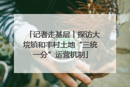 记者走基层丨探访大垸镇和丰村土地“三统一分”运营机制