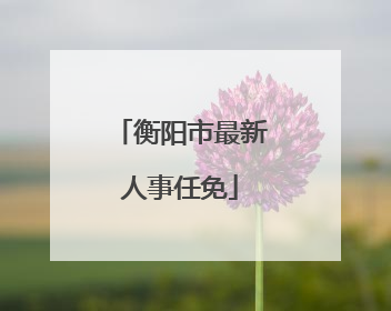 衡阳市最新人事任免