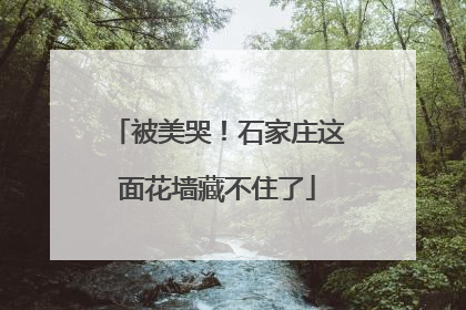 被美哭！石家庄这面花墙藏不住了