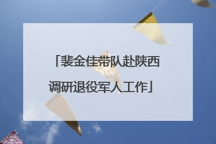 裴金佳带队赴陕西调研退役军人工作