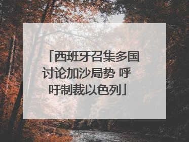 西班牙召集多国讨论加沙局势 呼吁制裁以色列