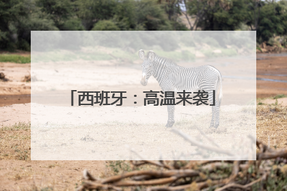 西班牙：高温来袭