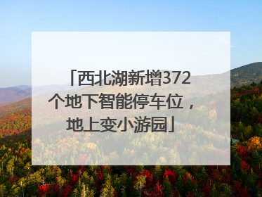 西北湖新增372个地下智能停车位，地上变小游园