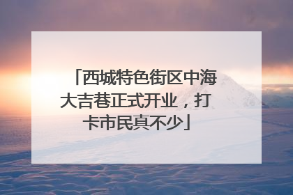 西城特色街区中海大吉巷正式开业，打卡市民真不少