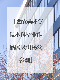 西安美术学院本科毕业作品展吸引民众参观