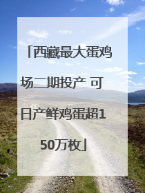 西藏最大蛋鸡场二期投产 可日产鲜鸡蛋超150万枚