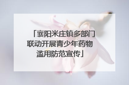 襄阳米庄镇多部门联动开展青少年药物滥用防范宣传